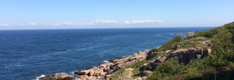 Course at BIRCA, Bornholm Explore the nature fo Bornholm Denmark