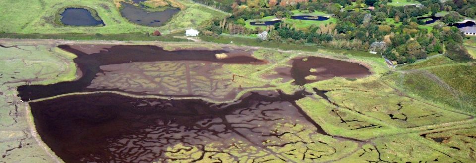 Location for new commission: Llanelli Wetland Centre // Wales Sound Artists. £10K Commission opportunity with Soundlands in partnership with WWT and Migrations.