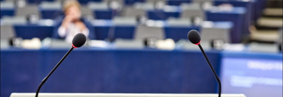 © European Union 2013 - European Parliament