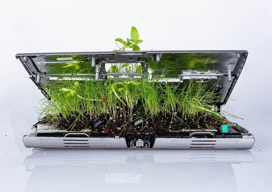 A laptop computer that has plants and soil growing inside of it.