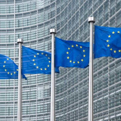 EU flags