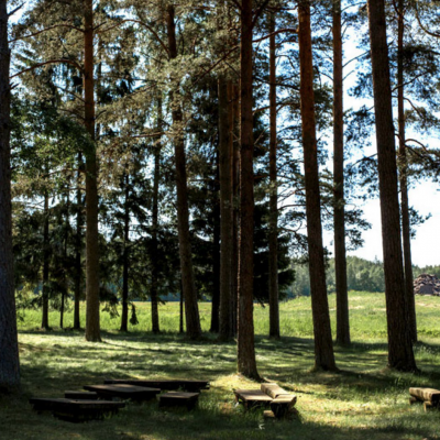 Garden, Massia Esti, Photo: Anna Siggelkow